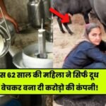 Navalben Chaudhary Story This 62 year old woman earns crores of rupees just by selling milk